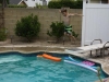 swim11